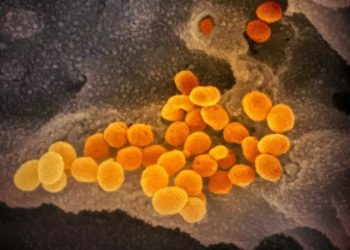 La OMS nombra Omicron a la nueva variante y advierte de un posible «mayor riesgo de reinfección»