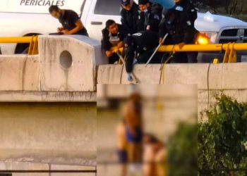 Hallan 9 cuerpos colgados en Guadalupe, Zacatecas