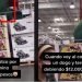 VIDEO | Acude al Costco por un hot-dog; termina ‘endeudado’ por costosa travesura de su hijo