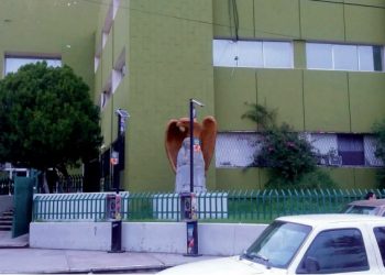 Plantea IMSS realizar pruebas rápidas en el Centro de Seguridad Social