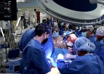 Recibe hombre trasplante de corazón de cerdo modificado genéticamente