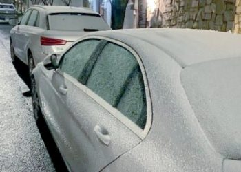 Reportan saldo blanco tras paso de onda gélida