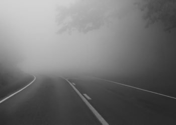 Border Patrol deja paso libre en garita de la 35