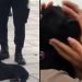 VIDEO | Hombre golpea a su perro en público y paseantes juntan dinero para comprárselo
