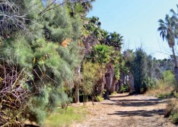 Concretan la primera fase del Parque Binacional con 500 MDD