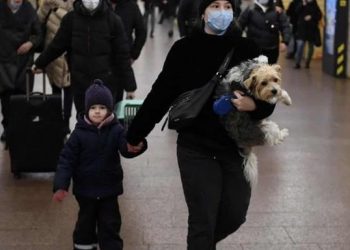 Personas huyen de Ucrania con sus mascotas para ponerlas a salvo