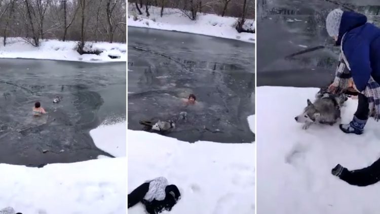 VIDEO | Una mujer rusa salta a un río congelado para salvar la vida de un perro