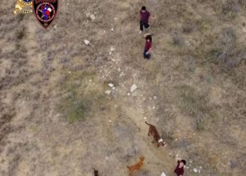 Encuentran a 4 niños perdidos entre el monte