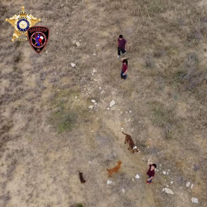 Encuentran a 4 niños perdidos entre el monte