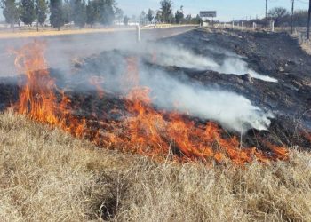Está Laredo en alerta máxima por incendios