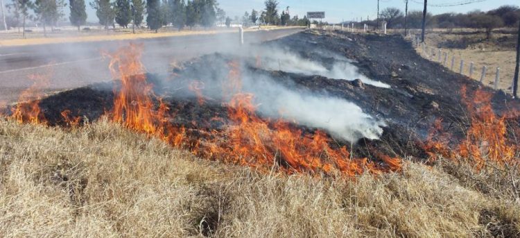 Está Laredo en alerta máxima por incendios