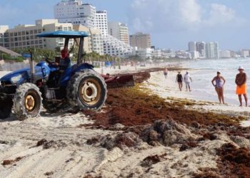 Sargazo cubre playas de Quintana Roo previo a vacaciones de Semana Santa