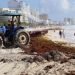 Sargazo cubre playas de Quintana Roo previo a vacaciones de Semana Santa