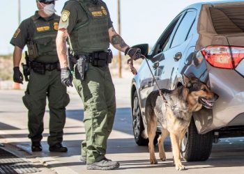 Demanda chofer de autobús a EU porque lo mordió un K-9 federal