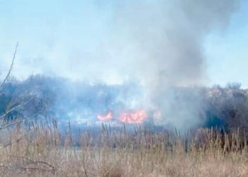 Incendio de zacatales puso en peligro a El Cenizo, Texas