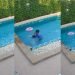 VIDEO | Niña cae a una piscina sin que su padre lo note; su hermana la salvó