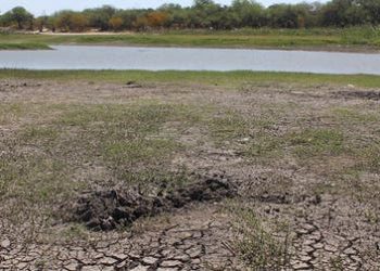 Agobia la sed al 70% de 42 ejidos