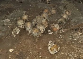 «Escena del crimen» con 150 cráneos resultó ser un sitio arqueológico en Chiapas