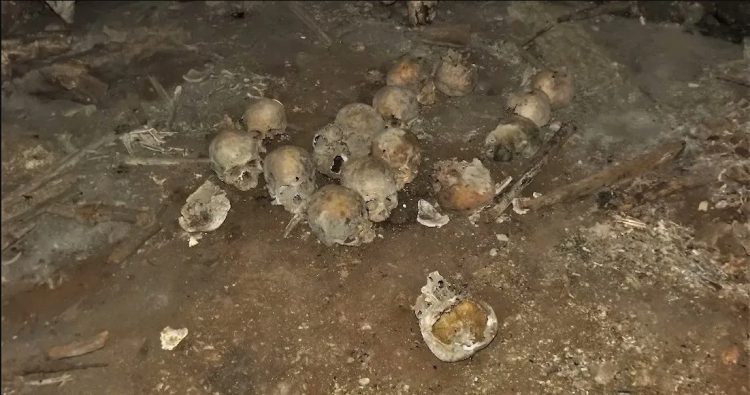 «Escena del crimen» con 150 cráneos resultó ser un sitio arqueológico en Chiapas