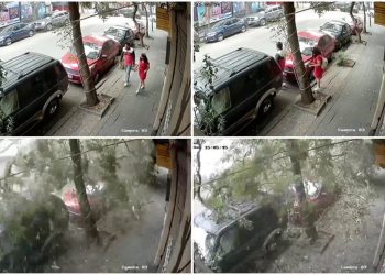 Pareja se salva de ser aplastada por enorme árbol en CDMX | VIDEO