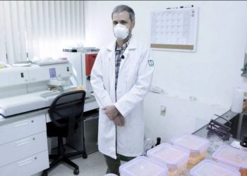 Gobierno abre 13,765 plazas para médicos: así es la convocatoria