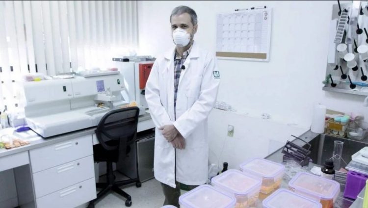 Gobierno abre 13,765 plazas para médicos: así es la convocatoria