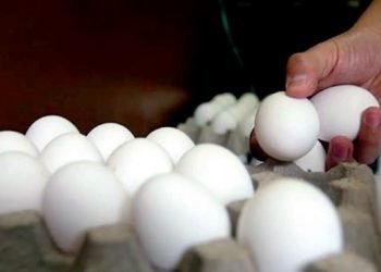 Niegan que haya escasez de huevo