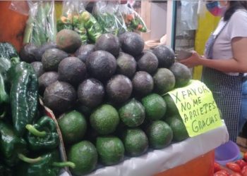 Se dispara precio del kilo de aguacate