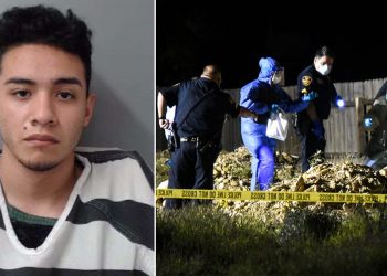 Dan cadena perpetua al asesino de familia