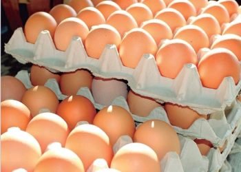 Rompe récord el precio del huevo