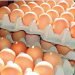 Rompe récord el precio del huevo