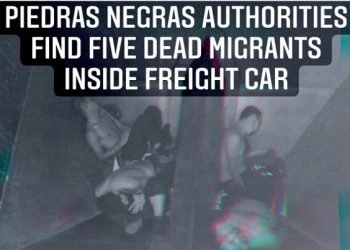 Hallan cinco cadáveres en un vagón ferroviario