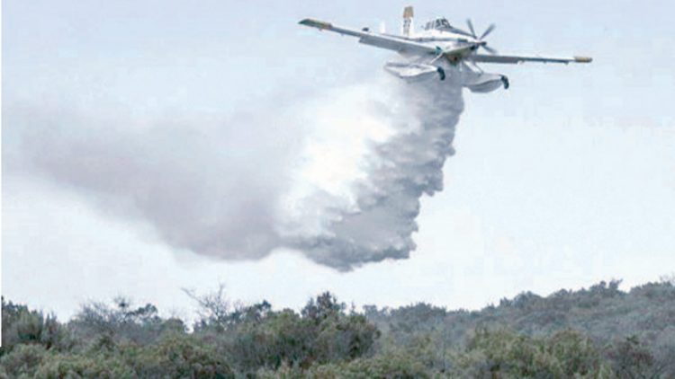 Alertan de incendios forestales en Texas