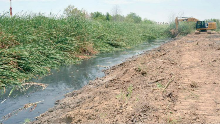 Inician trabajos de limpieza en el arroyo El Coyote