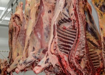 Tienen carnicerías de barrio limitante de cortes finos