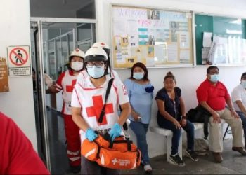 Abejas africanas atacan a 15 alumnos de preparatoria en Campeche; hospitalizan a tres