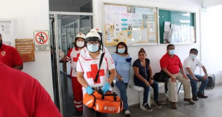 Abejas africanas atacan a 15 alumnos de preparatoria en Campeche; hospitalizan a tres