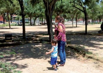 Piden ambientalistas acelerar reforestación