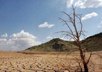 Declara Conagua emergencia por sequía