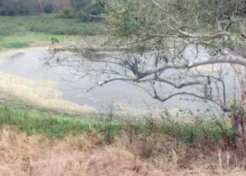 Crisis en presas de Tamaulipas