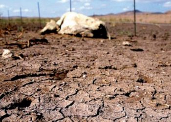 Consumo ciudadano en riesgo si no llueve