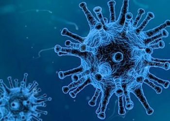 OPS advierte que subvariante BA.5 de Ómicron podría ser predominante en América