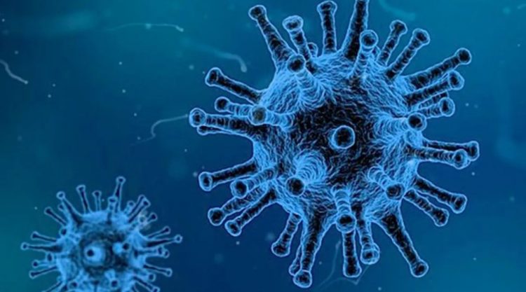 OPS advierte que subvariante BA.5 de Ómicron podría ser predominante en América