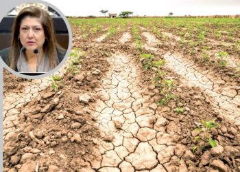 ‘FONDEN no es necesario’, diputada federal