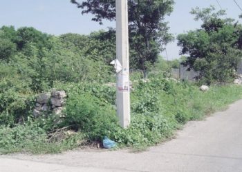 Abundan los terrenos abandonados en la ciudad