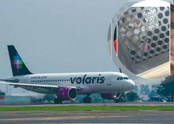 ‘Fue un abuso’: Joven denuncia que Volaris olvidó subir a su perrito al avión en CDMX