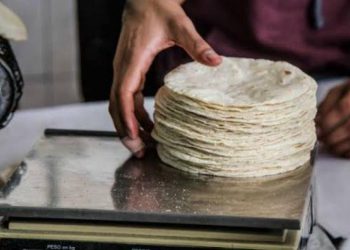 Por los cielos el precio de la tortilla en Tamaulipas; alcanzaría los 30 pesos