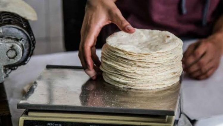 Por los cielos el precio de la tortilla en Tamaulipas; alcanzaría los 30 pesos
