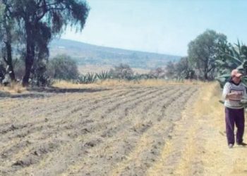 Advierten que empeora la sequía en Tamaulipas