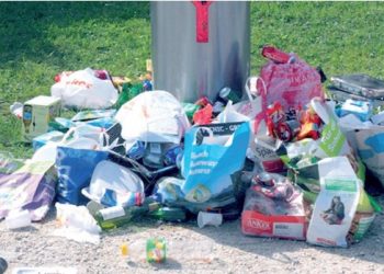 Ecología llega al medio millón de pesos de multas